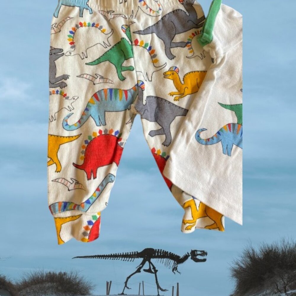 2pc The Children's Place Dinosaur Cotton Pant Set - Picture 3 of 5